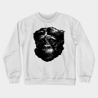 Bonobo 2 Crewneck Sweatshirt